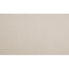 Обои виниловые на флизелиновой основе DINASTIA 825DN21 1,06x10,05 м
