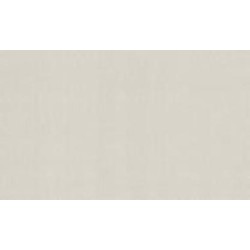 Обои виниловые на флизелиновой основе DINASTIA 802DN22 1,06x10,05 м