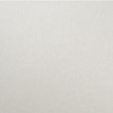 Обои виниловые на флизелиновой основе Vinil Лион стена ЭШТ 1-1540 1,06x10,05 м