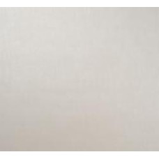 Обои виниловые на флизелиновой основе Vinil Лион стена ЭШТ 2-1540 1,06x10,05 м