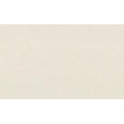 Обои виниловые на флизелиновой основе Vinil Лион стена ЭШТ 3-1540 1,06x10,05 м