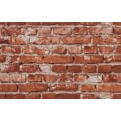 Обои виниловые на флизелиновой основе Vinil Флэт ЭШТ 7-1538 1,06x10,05 м