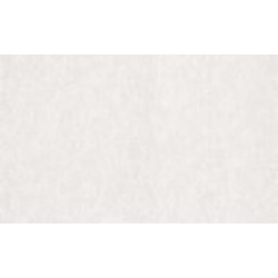 Обои виниловые на флизелиновой основе Status 403ST00 1,06x10,05 м