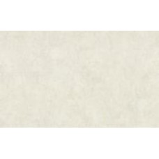 Обои виниловые на флизелиновой основе Vinil Парадиз стена СШТ 2-1553 1,06x10,05 м