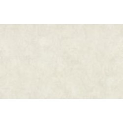Обои виниловые на флизелиновой основе Vinil Парадиз стена СШТ 2-1553 1,06x10,05 м