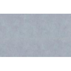 Обои виниловые на флизелиновой основе Vinil Парадиз стена СШТ 5-1553 1,06x10,05 м