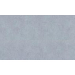 Обои виниловые на флизелиновой основе Vinil Парадиз стена СШТ 5-1553 1,06x10,05 м