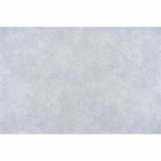 Обои виниловые на флизелиновой основе Славянские обои Elegance collection Генуя 1312-04 1,06x10,06 м