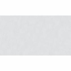 Обои виниловые на флизелиновой основе Sintra OMEGA, CRISTAL UNI 524619 1,06x10,05 м