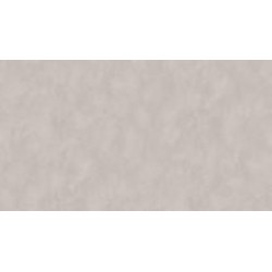 Обои виниловые на флизелиновой основе Sintra OMEGA, CRISTAL UNI 524633 1,06x10,05 м