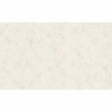 Обои виниловые на флизелиновой основе DINASTIA 866DN01 1,06x10,05 м