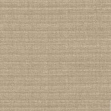 Обои виниловые на флизелиновой основе A.S. Creation Collins 32424-4 1,06x10,05 м