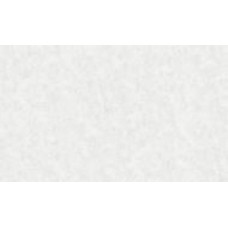 Обои виниловые на флизелиновой основе Bravo SIMPLE 515SP10 1,06x10,05 м