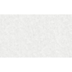 Обои виниловые на флизелиновой основе Bravo SIMPLE 515SP10 1,06x10,05 м