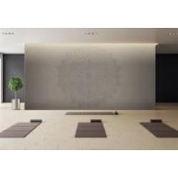 Настенное покрытие (панно) неокрашенное DIMENSE Decor 3,06x2,8м 8,57 m2 Мандала доброты DP-0299/2