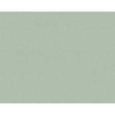 Обои виниловые на флизелиновой основе A.S. Creation Drawn into Nature 37178-8 0,53x10,05 м