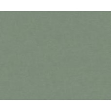 Обои виниловые на флизелиновой основе A.S. Creation Drawn into Nature 37178-7 0,53x10,05 м