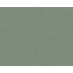 Обои виниловые на флизелиновой основе A.S. Creation Drawn into Nature 37178-7 0,53x10,05 м