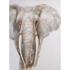 Картина Elephant 90x120 см GF