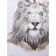 Картина Lion 90x120 см GF