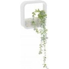 Декор настенный Nature квадратный 22,3x22,3 см белый