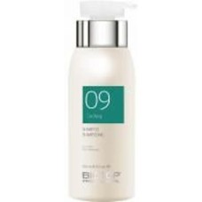 Шампунь BIOTOP очищающий 09 250 мл