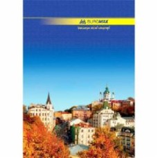 Книга учёта А4 96 лист. Buromax