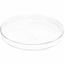Блюдо Wrzesniak Glassworks Knob 26 см 14-4736