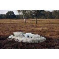 Комплект постельного белья Ophelia Blue семейный разноцветный принт Essenza