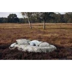 Комплект постельного белья Ophelia Blue семейный разноцветный принт Essenza