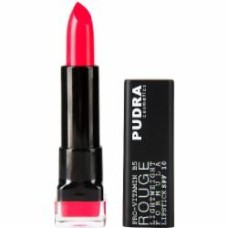 Помада губная Pudra Cosmetics Delicate function 10 4,5 г