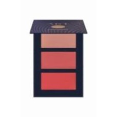 Палитра румян Pierre Rene Professional Art Creamy Contouring №01 12 г
