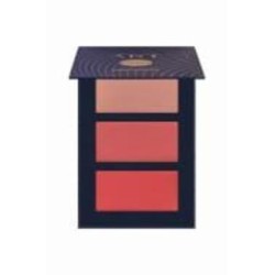Палитра румян Pierre Rene Professional Art Creamy Contouring №01 12 г