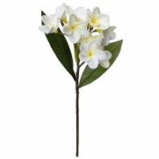Веточка декоративная Акация 43 см (белая) 631352