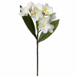 Веточка декоративная Акация 43 см (белая) 631352