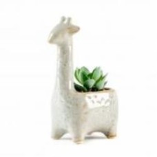 Растение декоративное DH-FLOWERS-20 GREEN/WHITE 