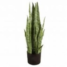 Растение искусственное Sansevieria (DW-11) Engard