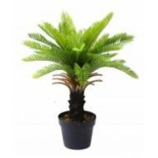 Дерево искусственное Cycas Palm (DW-24) Engard