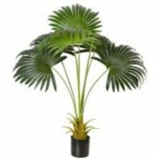 Дерево искусственное Fan Palm (DW-26) Engard