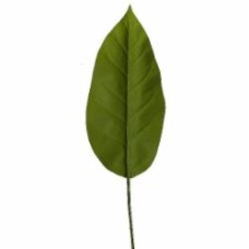 Веточка декоративная Spathiphyllum (DW-33) Engard