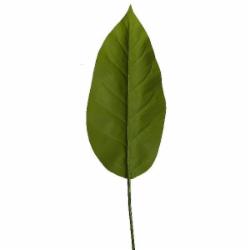 Веточка декоративная Spathiphyllum (DW-33) Engard