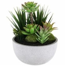 Композиция Суккулентов А в горшке 19x22 см