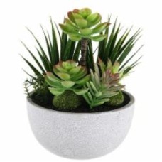 Композиция Суккулентов В в горшке 19x22 см