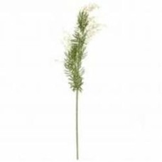 Растение искусственное Искусственная акация 88 см белый Home Seasons Decor