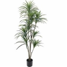 Дерево искусственное Драцена зеленая в черном. пласт. горшке REAL TOUCH 155 см Inari
