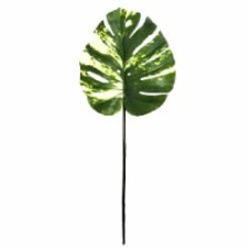 Веточка декоративная Monstera Alba 73 см TW-54 Engard