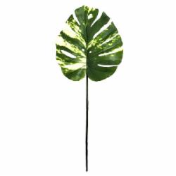 Веточка декоративная Monstera Alba 73 см TW-54 Engard