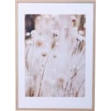 Картина Dry flowers 50x70 см Styler OB-14039