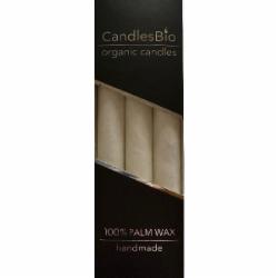 Набор свечей WP00 20/180 белый 3 шт. CandlesBio