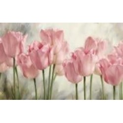 Картина на холсте Тюльпаны (без рамы) 55x80 см ТЕРРАВОЛ